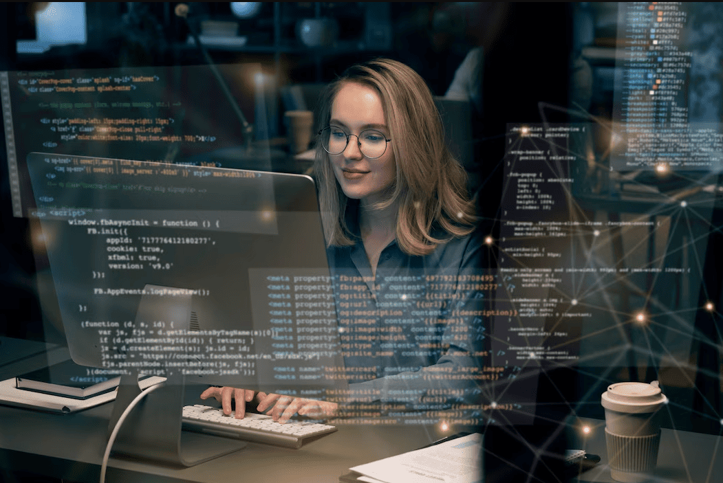 Computer Systems Consultancies